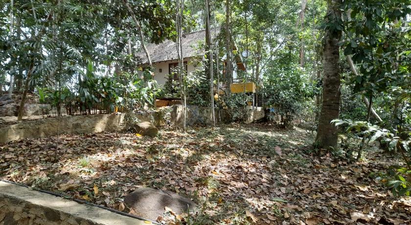 citron villa - image 43