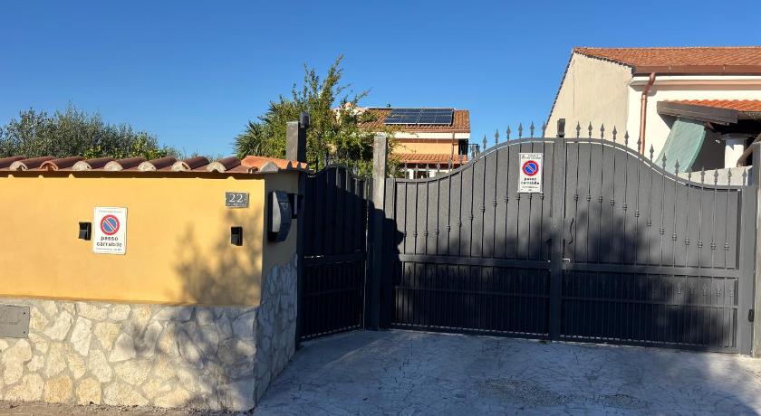 Tra gli ulivi