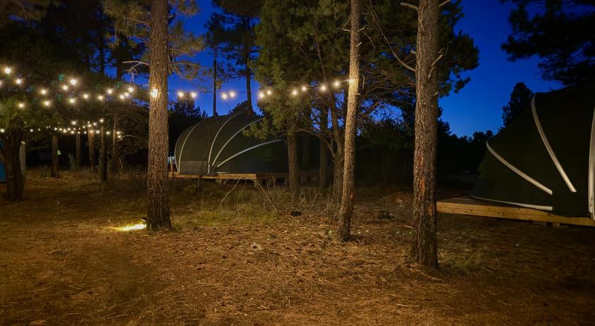 마운틴에어 (NM) Starry Skies & Fresh Air Glamping Escape 3성급 숙소 객실