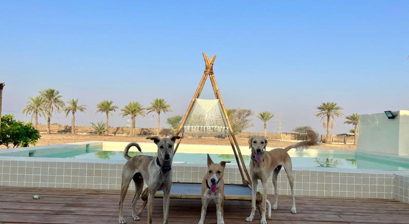 Naseem Farm Escape - dog-friendly camp site