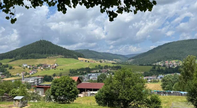 Waldblick-Appartement
