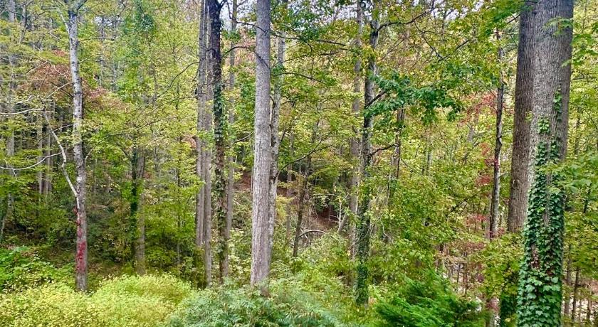 페어뷰 (NC) Beary Cozy 4성급 숙소 스위트룸