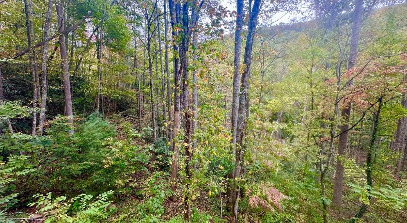 페어뷰 (NC) Beary Cozy 4성급 숙소 외관