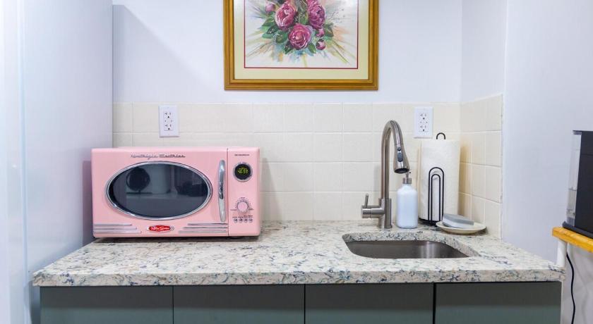 ニューロシェル (NY) Retro 2 bedroom basement APT with free parking 4つ星 宿泊施設 外観