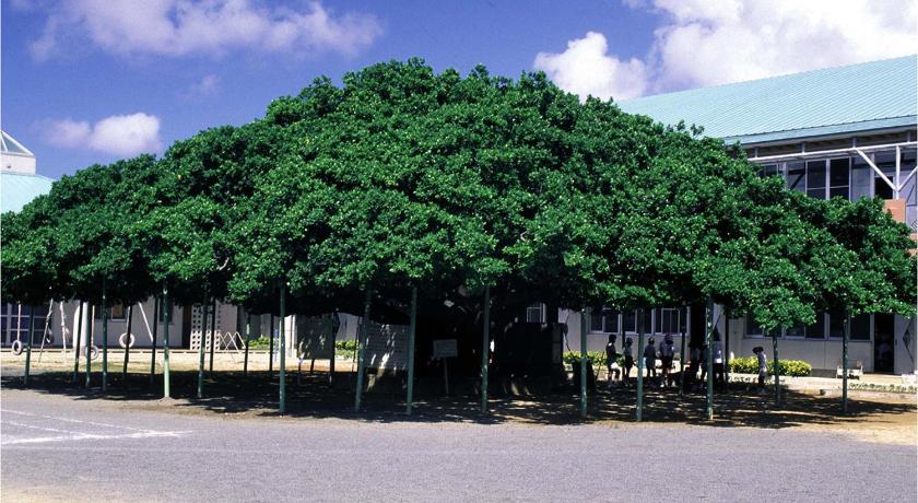 沖永良部島 Ocean Villa Okinoerabu 4星级 住宿 套房