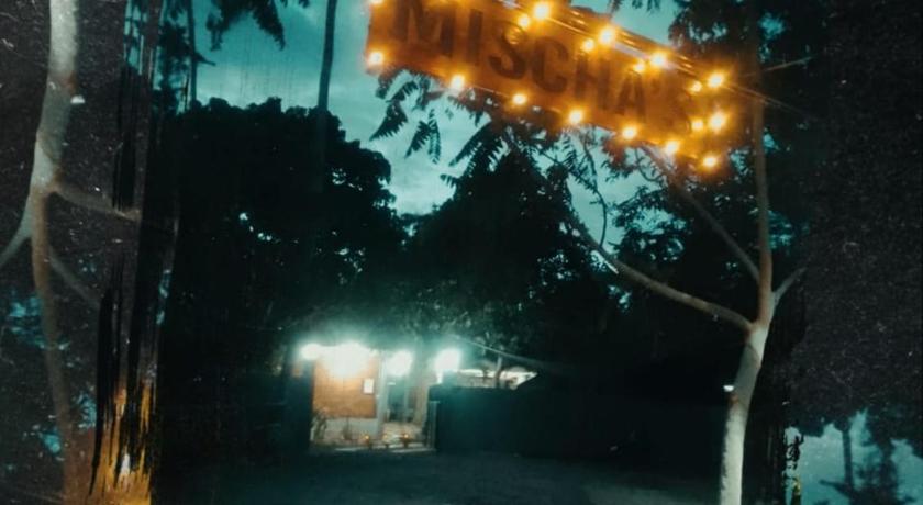 Mischa Hostel - image 18