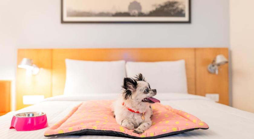 Image of Standard Room with 1 double bed 13