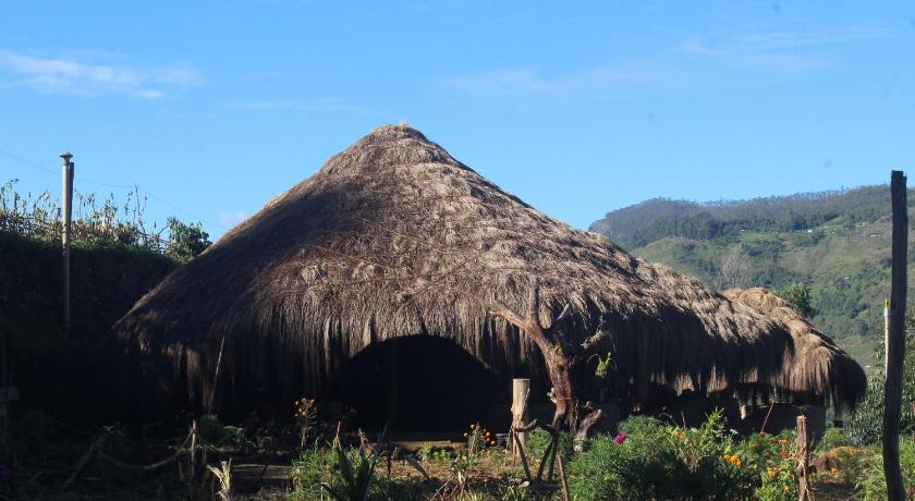 EKa Forest