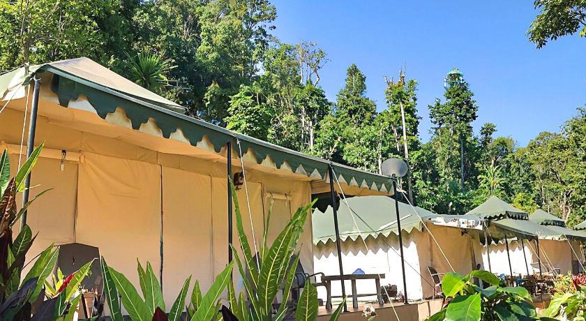 Image of Tented King Room 10