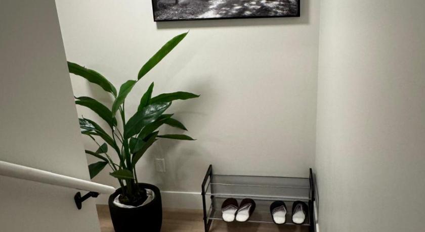 Comfy Apartment