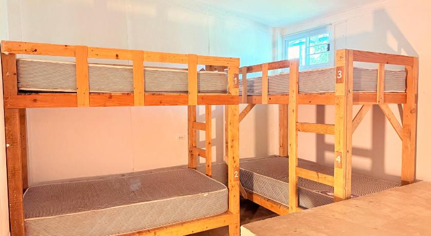 Image of Bunk Bed in Mixed Dormitory Room 6