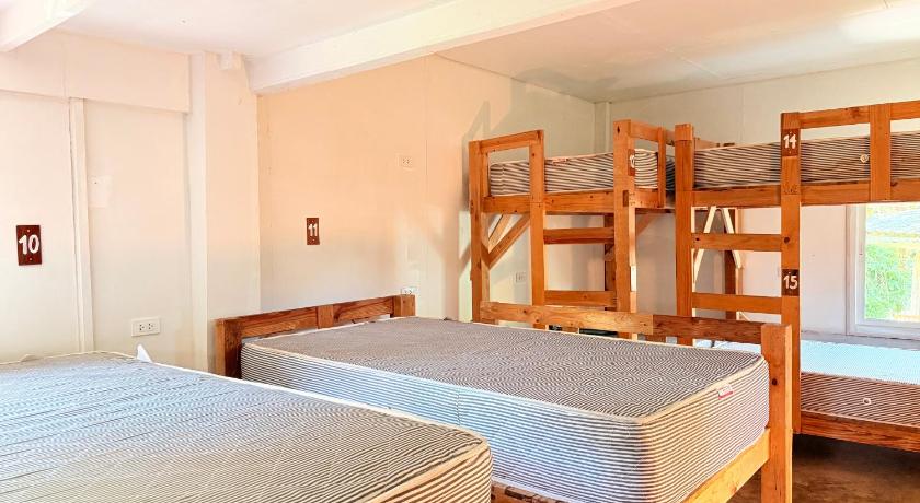 Image of Bunk Bed in Mixed Dormitory Room 0