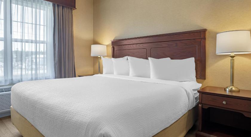 Best Western Plus Fredericton Hotel & Suites