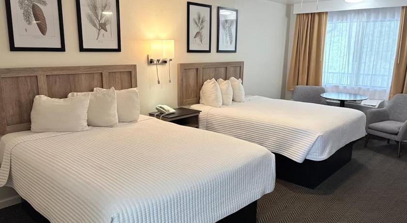 El Portal Cedar Lodge 2-Star Hotel suite