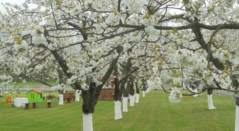 ピエトロヴィツェ・ヴィエルキエ Agroturystyka Krysia Pilszcz 3つ星 ホテル 施設