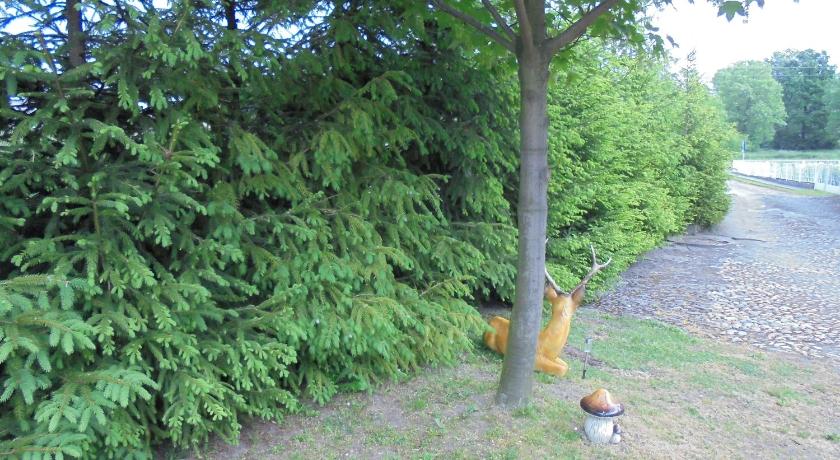 ピエトロヴィツェ・ヴィエルキエ Agroturystyka Krysia Pilszcz 3つ星 ホテル スイート