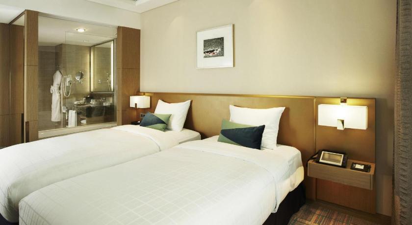 ソウル Novotel Ambassador Seoul Gangnam 5つ星 ホテル 眺望