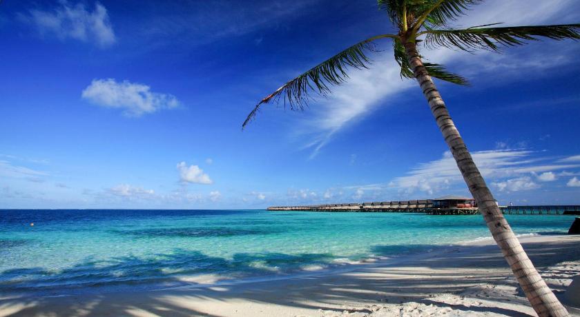 Image of Lagoon View Beach Villa Twin 4