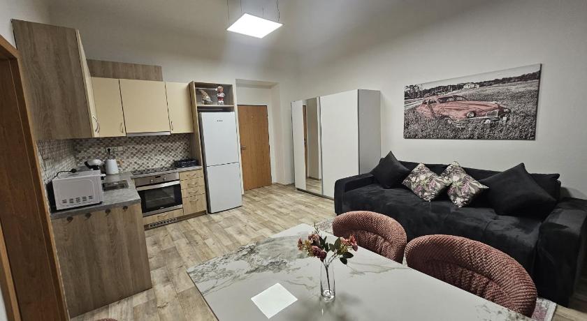 Kompletne vybaveny byt s loznici v centru u divadla #HomeVibes50
