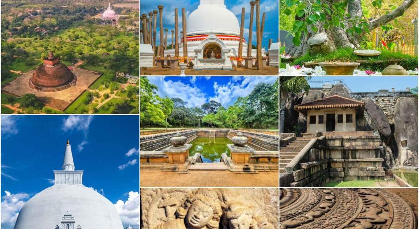 sigiriya hotel and resort - image 16