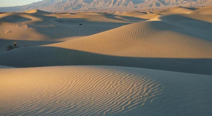 ストーブパイプ・ウェルズ Stovepipe Wells Village 3つ星 宿泊施設 客室