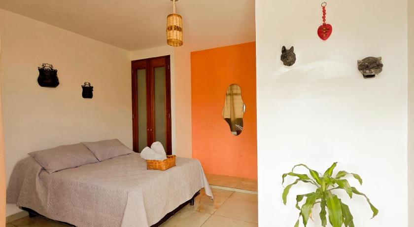 オアハカ Habitaciones Casa Bule 3つ星 ゲストハウス 施設