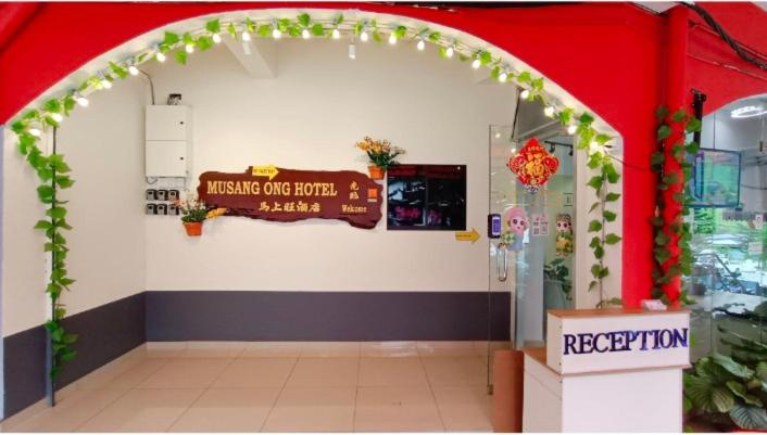 Musang Ong Hotel - image 4