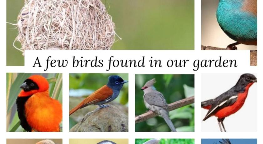 Bufflesdrift Bush and Birding