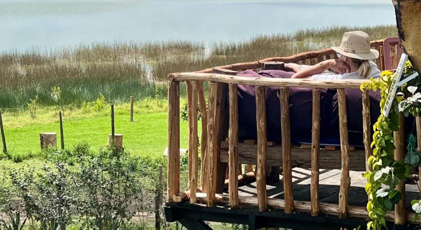 TREE HOUSE Lodge