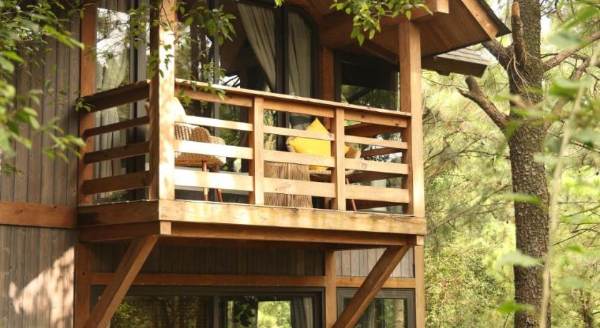 Amaya Retreat - image 49