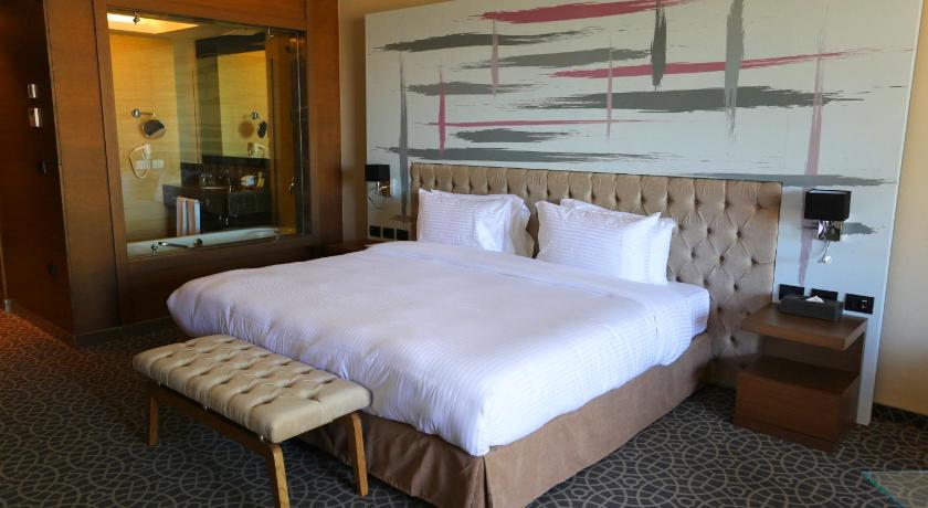 Image of Premier Room 0