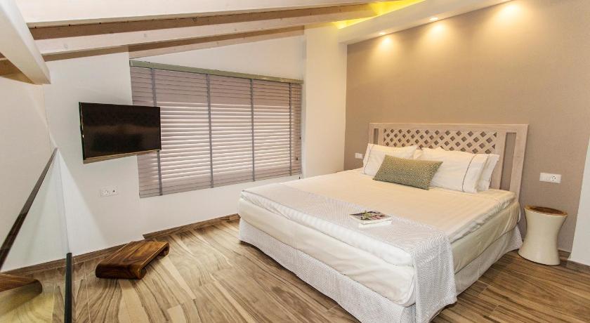 Image of Loft 2 1