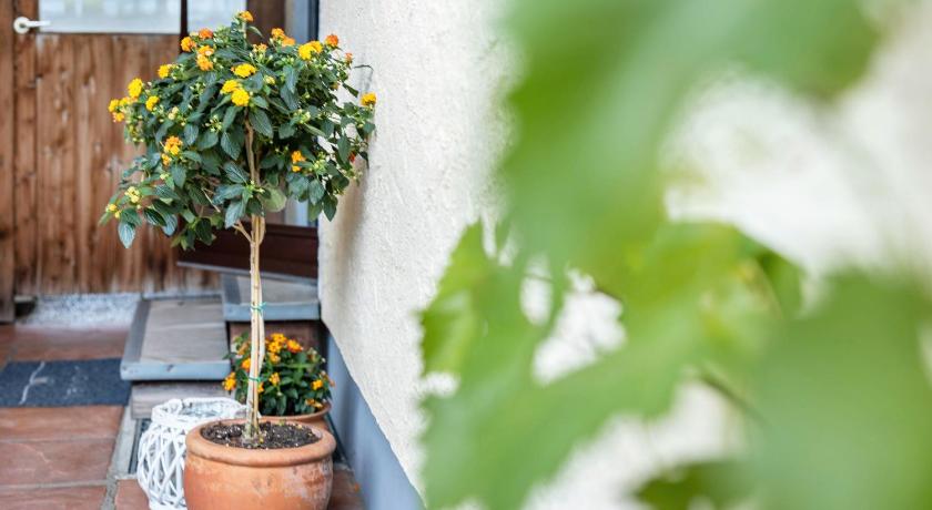 Vogtareuth Komfort Apartment Romersberger - 6 4-Star Single Room restaurant