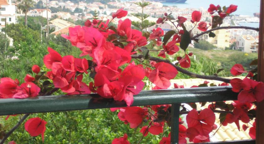 Studios Rania — Hotel in Kefalonia