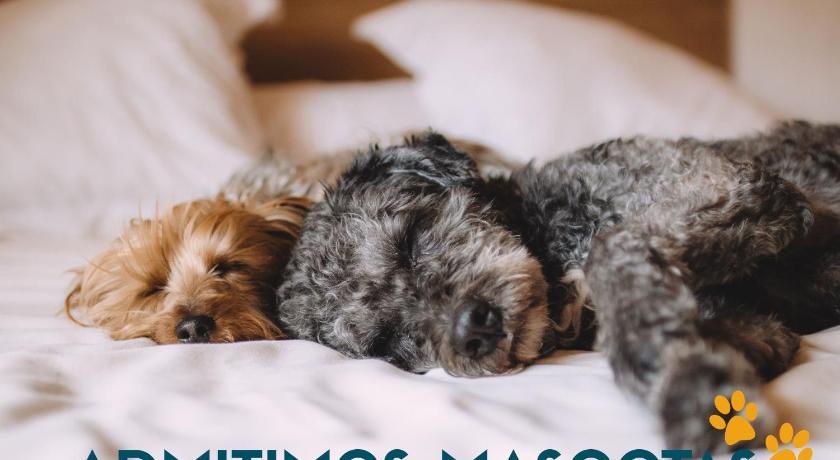 サンタ・クルス・デ・ベサナ La marina sunset 3000 4つ星 ゲストハウス レストラン