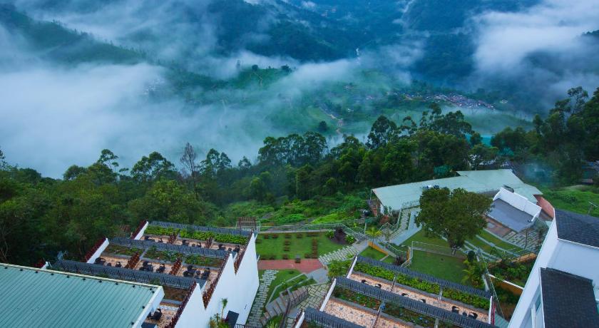 Fragrant Nature Munnar