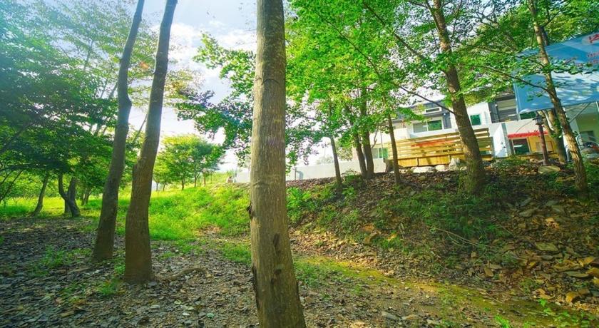 괴산 나무소리펜션 (Namusori Pension) 3성급 게스트하우스 수영장