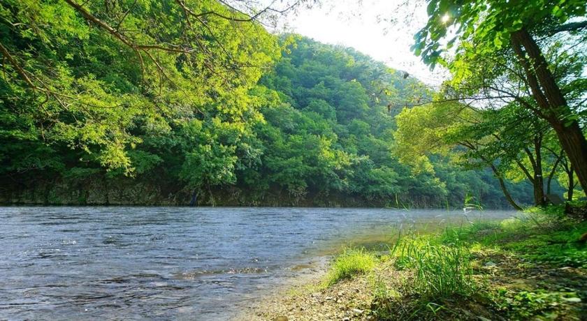 괴산 나무소리펜션 (Namusori Pension) 3성급 게스트하우스 레스토랑