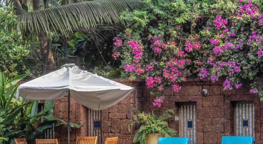 Raman Resort - image 43