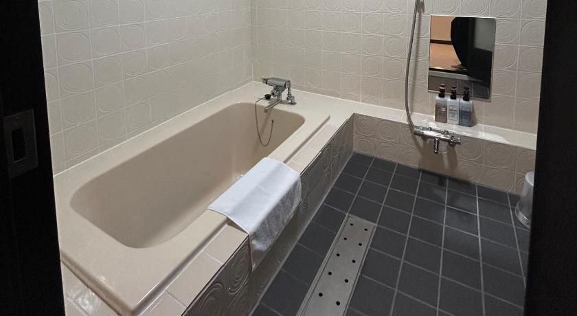 大阪 Park Hotel 4星级 酒店 泳池