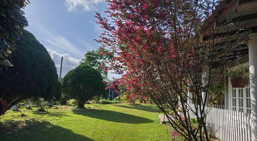 Aura Hilltop Matale