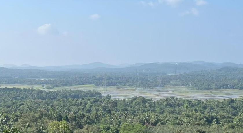 Hortus Malabaricus Garden Resort – Eco-Stay Inside a 27-Acre Living Forest Thrissur - image 46