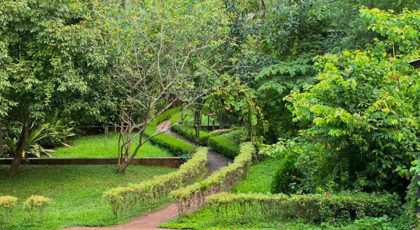 Hortus Malabaricus Garden Resort – Eco-Stay Inside a 27-Acre Living Forest Thrissur - image 34