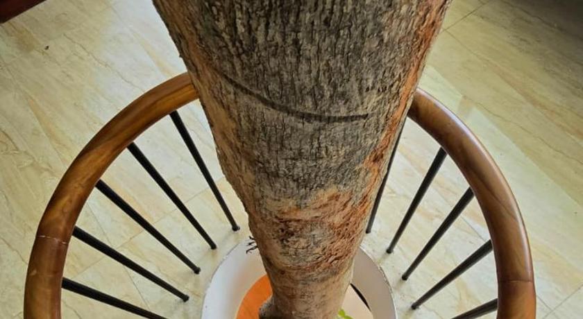Hortus Malabaricus Garden Resort – Eco-Stay Inside a 27-Acre Living Forest Thrissur - image 45