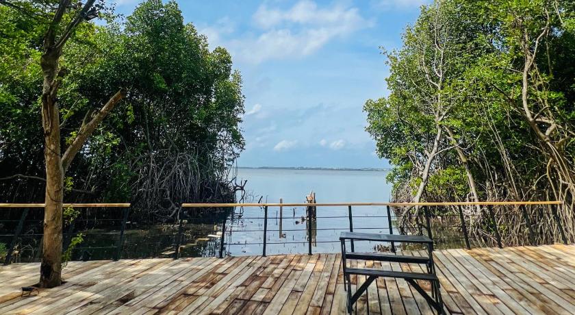Blue Mangrove Lagoon by Serenity - image 22