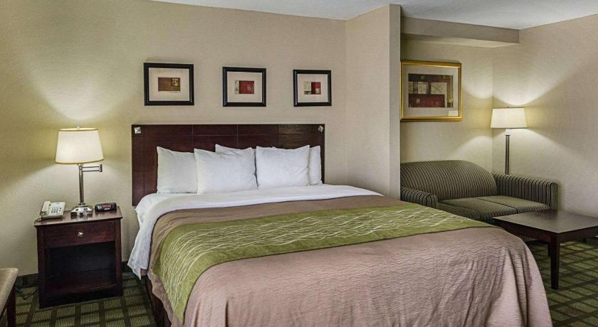 Image of 1 King Bed, Suite, Nonsmoking 4