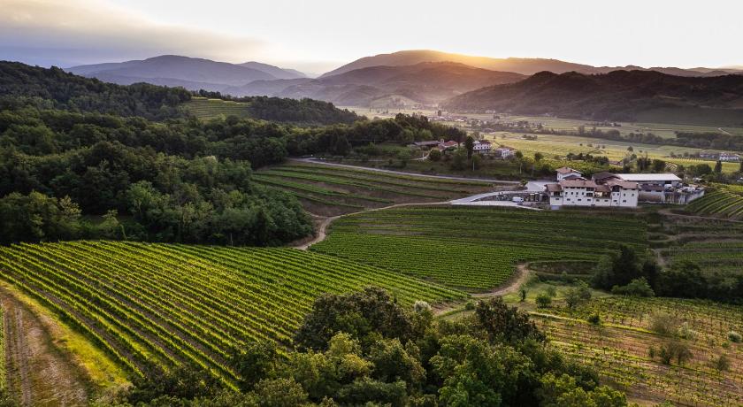 Vie D'Alt Wine and Rooms