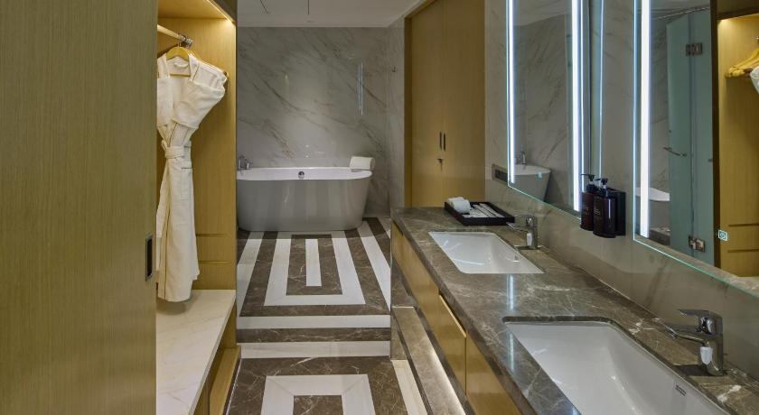 Grand Continent – A Luxury Collection Udaipur - image 11