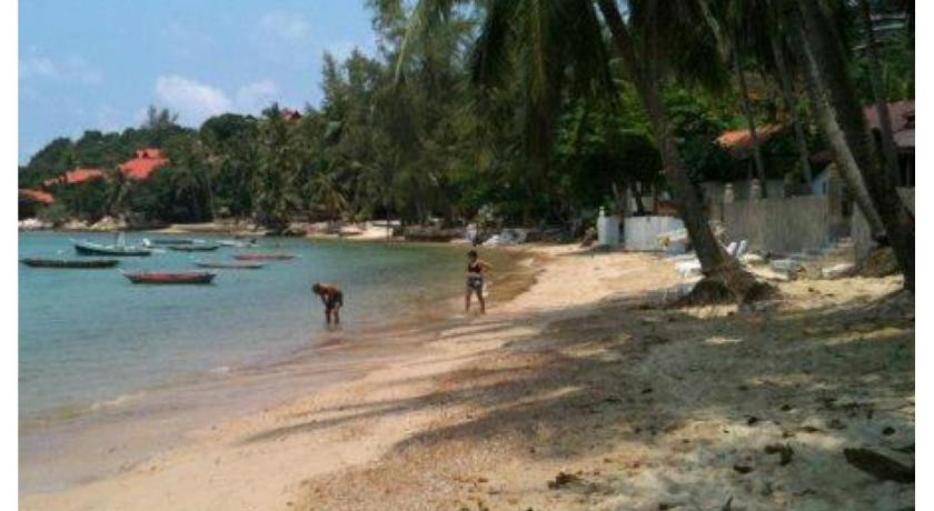 Jungle Hut Bungalows & Hotel photo