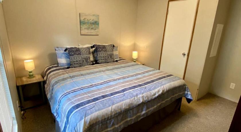 デュネディン Amazing Cottage Surrounded by Trees in Dunnellon, Florida 3つ星 宿泊施設 眺望